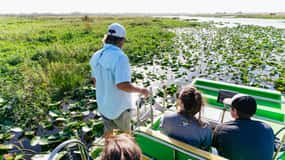 Orlando: Passeio de aerobarco pela vida selvagem dos Everglades da Flórida