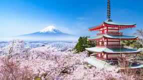 Tour privato del Monte Fuji con guida in inglese
