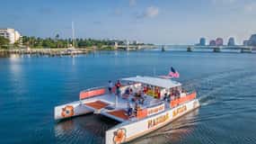 Palm Beach: Sightseeing Catamaran Cruise
