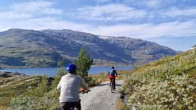 Flam-Myrdal: Geführte E-Bike-Tour auf dem berühmten Rallarvegen.