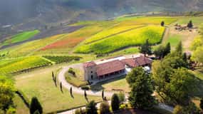 Tenuta Bonzara - Visita e prova de vinhos no Colli Bolognesi