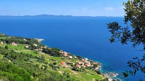Dubrovnik Private Weinverkostung Tour nach Peljesac