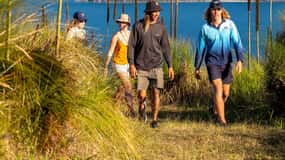 South Molle Island Self Guided Walking Tour