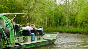 New Orleans: Oak Alley oder Laura Plantation & Airboat Tour
