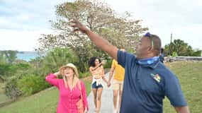 Nassau: ATV or Buggy Tour with Tasty Local Foods