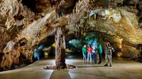Montenegro: Geführte Tour durch die Lipa-Höhle mit Transfer