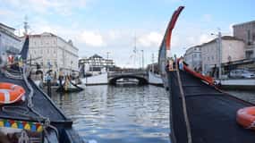 De Lisboa: Experiência gastronômica em Aveiro e Coimbra