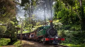 Melbourne: Excursão à Penguin Parade com passeio de comboio Puffing Billy