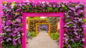 NYC: New York Botanical Garden Pas met Optie Orchideeënshow
