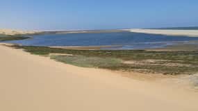 Walvis Bay: Excursión panorámica por el puerto de Sandwich