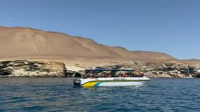 Do Porto de San Martin: Ilha Ballestas e Reserva Paracas