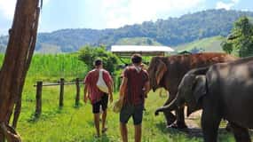 Chiang Mai Elephant Village Life: Long Neck & Bamboo Rafting