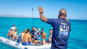 Dolphin Tour with Red Sea Fun. The Best in Hurghada