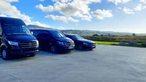 Transfert privé Naxos port-aéroport vers toutes les destinations