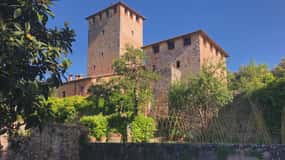 Sienne : Visite et dégustation de vins dans un château privé toscan