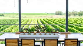 Visit to Bodega Fripp