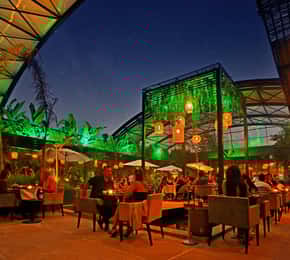 Marrakech: Shows & musicals