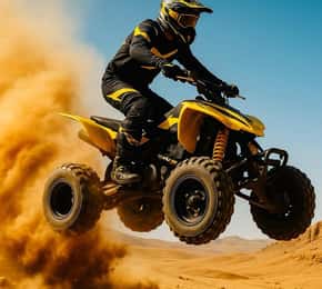 Marrakech: Shows & musicals