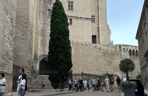 imagem n.3 de A essência da Provence: Avignon, St Rémy, les Baux, Arles atividade em Avignon, carregada pelo fornecedor