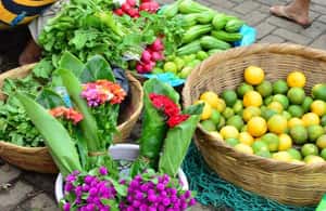 사카테페케스에서 산살바도르: 루타 데 라스 플로레스와 커피 농장 종일 투어 액티비티의 3번 이미지, 공급업체 업로드