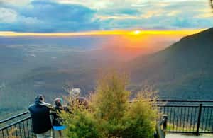 image n.3 of Sydney: Blue Mountains Waterfalls and Koalas Late Start Tour activity in Katoomba, uploaded by supplier