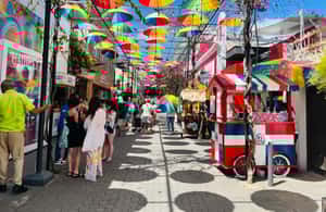 image n.3 of Puerto Plata City Tour activity in Puerto Plata, uploaded by supplier