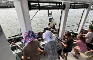 слика бр. 3 од Плимоутх: Пирате Цруисе активности у месту Плимут, Масачусетс коју је отпремио пружалац активности