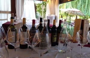 Immagine nº 4 di Firenze: Corso di cucina a San Gimignano con degustazione di vini attività a Firenze, caricata dal fornitore