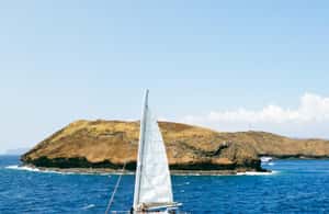 image n.4 of Maui: Molokini Snorkel and Performance Sail with Lunch activity in Hawaii, uploaded by supplier