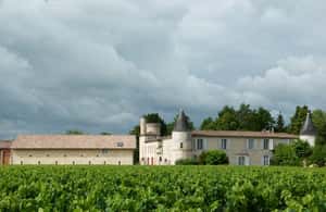 bilde nr.3 av Den vertikale på Château Cruzeau aktivitet i Libourne, lastet opp av leverandør