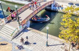 image n.3 of Aveiro City Tour: Private day trip with tickets included. activity in Vista Alegre, uploaded by supplier