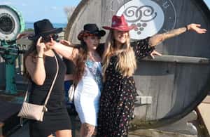 foto no. 4 dari aktivitas NON BUS Chateau Chantal Hawthorne Traverse City Wine Tour di Michigan, diunggah oleh pemasok