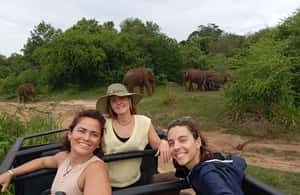 image n.3 of From Dambulla/Sigiriya/: Minneriya National Park 4hr safari activity in Anuradhapura, uploaded by supplier
