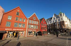 image n.3 of Bergen: Guided Car Tour with Old Bergen Museum & Fantoft … activity in Bergen, uploaded by supplier