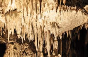 Bild Nr. 3 von Führung durch die Grotten von Castellana Aktivität in Castellana Grotte, hochgeladen vom Anbieter