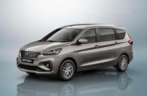 Bild Nr. 3 von San Cristobal: Transfer Angel Albino Corzo Flughafen (Tuxtla Gutierrez) Aktivität in Kommune Chiapa de Corzo, hochgeladen vom Anbieter