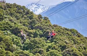 image n.3 of Kaikōura: Zipline and Native Forest Adventure Trip activity in Kaikoura, uploaded by supplier