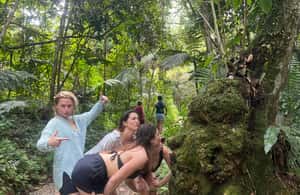 billede nr.3 af aktiviteten San Juan: El Yunque Rainforest Hike & Luquillo Beach i Luquillo, uploadet af udbyder