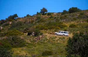image n.3 of From Protaras: Full-Day Grand tour Jeep Safari with Lunch activity in Limassol District, uploaded by supplier