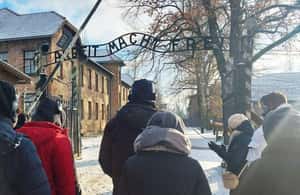 изображение номер 4 мероприятия Поездка туда и обратно из Кракова в Освенцим + входные билеты в городе Освенцим, Польша, загруженное организатором