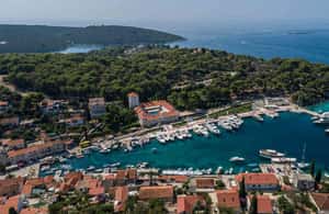 billede nr.4 af aktiviteten Fra Trogir & Marina: Blå lagune & 3 øer halvdagstur i Dalmatien, uploadet af udbyder
