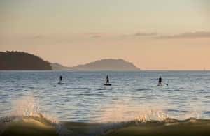 Immagine nº 4 di Las Catalinas: Le migliori cose da fare in Guanacaste, Costa Rica attività a Santa Cruz, Costa Rica, caricata dal fornitore