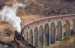 billede nr.3 af aktiviteten Fra Glasgow: Glenfinnan, Loch Lomond og højlandet i Det skotske højland, uploadet af udbyder