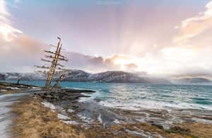bild nr.4 av Från Kiruna: Narvik stad och fjorden dagsutflykt aktivitet i Kiruna, uppladdad av arrangören