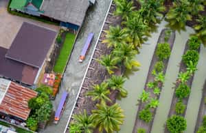 imagem n.4 de De Bangkok: Visita ao Mercado Flutuante de Damnoen Saduak atividade em Bangkok, carregada pelo fornecedor