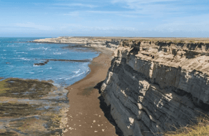 Bild Nr. 4 von Von Puerto Madryn aus: Landausflug auf die Halbinsel Valdés Aktivität in Chubut Provinz, hochgeladen vom Anbieter