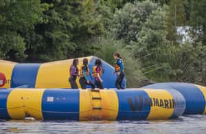 image n.4 of تاورانجا: تذكرة دخول إلى متنزه Waimarino Adventure Park Supreme activity in تورانجا, uploaded by supplier