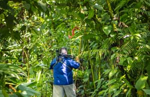 image n.4 of La Fortuna: Sloth Tour in Arenal Volcano Park & Local Snack activity in Alajuela Province, uploaded by supplier