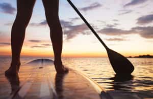 billede nr.3 af aktiviteten Thomas: SUP-udlejning i mangrove-lagunen i Red Hook, Saint Thomas, uploadet af udbyder
