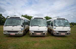 imatge núm.4 de l'activitat de Victoria Falls: trasllat a l'aeroport des de i des de la ciutat a Ciutat de les Cascades Victòria, penjada pel proveïdor